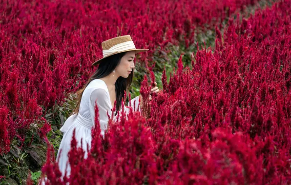Field, girl, flowers, hat, dress, red, profile, walk