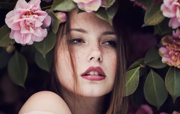 Face, portrait, Camellia, Ruby James