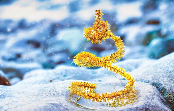 Winter, frost, snow, nature, stones, spiral, contrast, Christmas