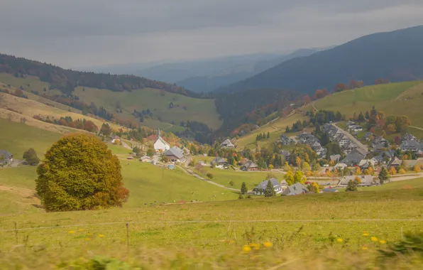 Autumn, forest, Alps, houses