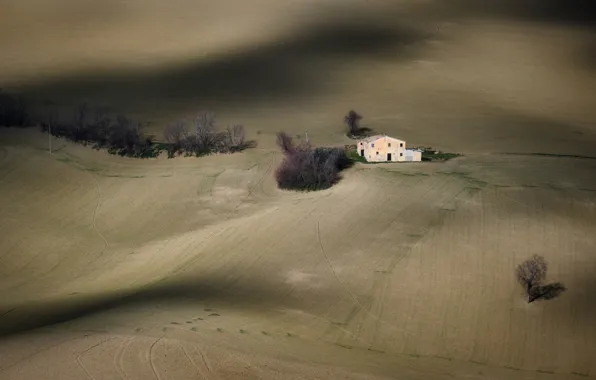 Field, trees, line, strip, shadows, house, farm, arable land