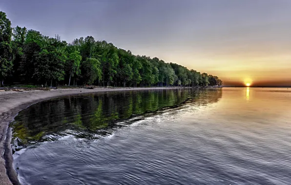 Sand, forest, the sun, reflection, river, sunrise, shore