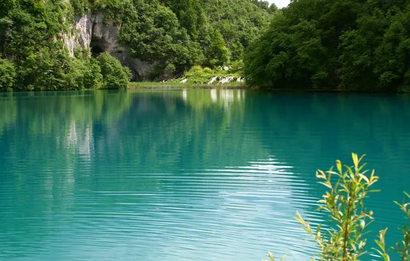 Forest, summer, lake, photo, rocks