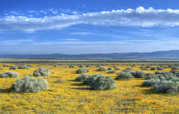 Field, grass, mountains, nature, landscapes, field, valley, the bushes