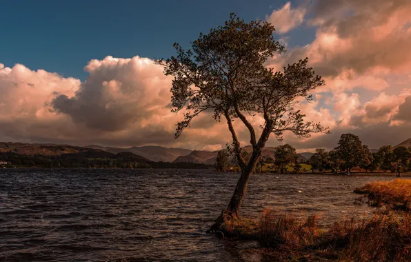 The sky, clouds, trees, shore, pond, photoart