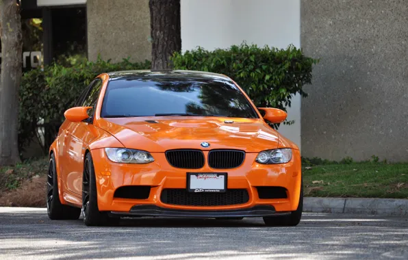 Picture road, trees, orange, street, bmw, the bushes, the front, e92