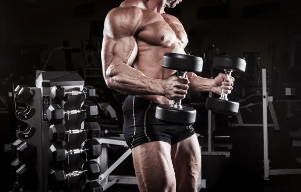 Picture legs, power, man, muscles, gym, bodybuilder, bisceps