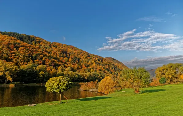Picture autumn, the sky, grass, the sun, clouds, trees, river, shore
