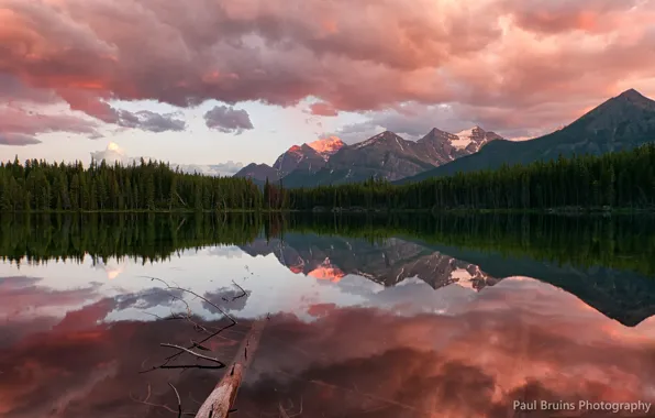 Picture the sky, clouds, sunset, lake, the evening, Canada, coniferous forest, Rocky mountains