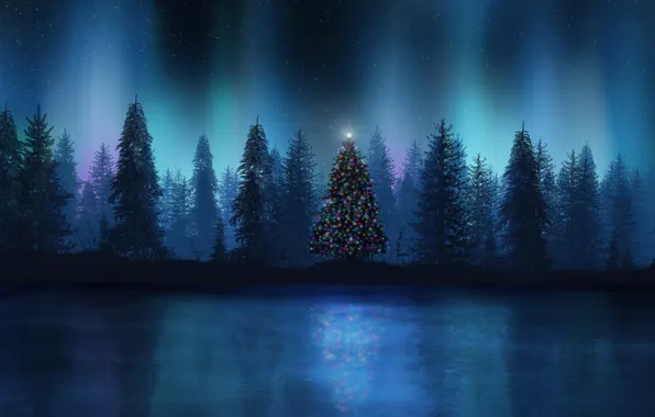 Picture lights, lights, new year, Forest