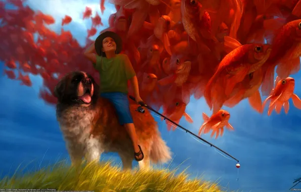 Picture fish, dog, fisherman, boy, rod, Liam Peters