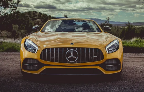Picture car, Roadster, Mercedes, logo, yellow, Mercedes Amg, Mercedes Amg Gt Roadster, Mercedes Amg Gt