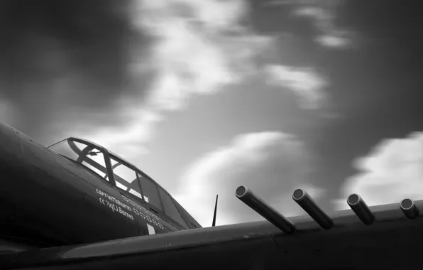 Picture aviation, the plane, P-47