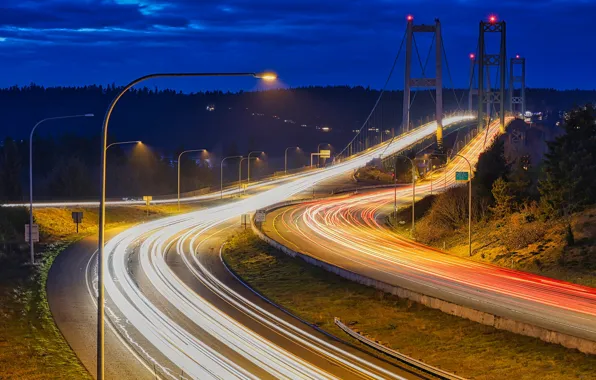 Road, trees, bridge, lights, movement, the evening, highway, lights