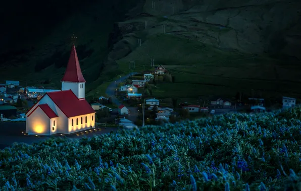 Picture flowers, mountains, night, village, Church, Iceland, Vika, lupins