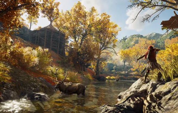 Picture forest, trees, swamp, moose, assassin, Assassin's Creed Odyssey