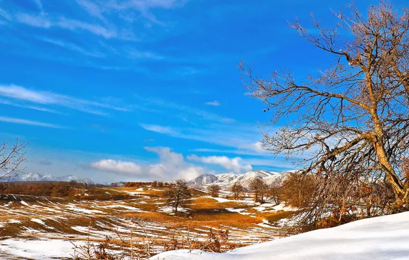 The sky, snow, trees, mountains, spring, valley