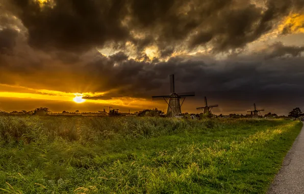 Road, field, the sky, grass, the sun, sunset, clouds, mill