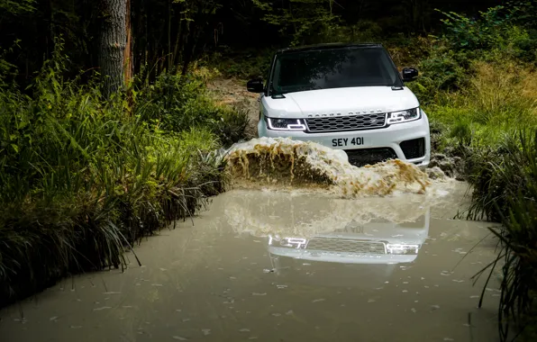 Road, forest, water, wave, puddle, SUV, Land Rover, black and white