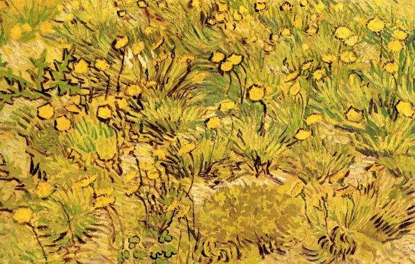 Picture Vincent van Gogh, A Field of Yellow Flowers, Arles