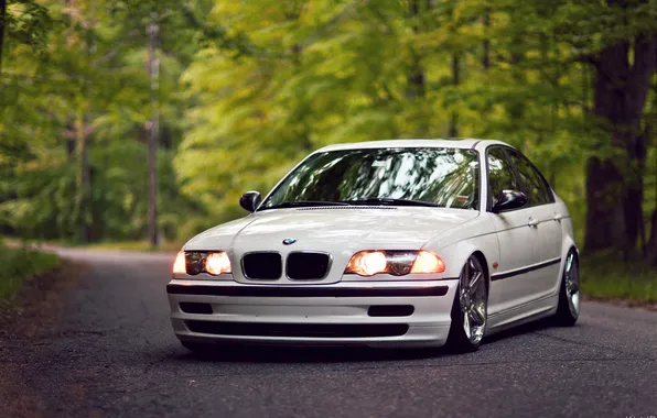 Picture BMW, BMW, white, E46, 325i