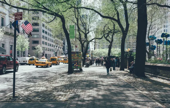 Picture USA, United States, trees, New York, Manhattan, NYC, New York City, street