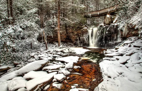 Winter, forest, snow, trees, bridge, river, waterfall, West Virginia