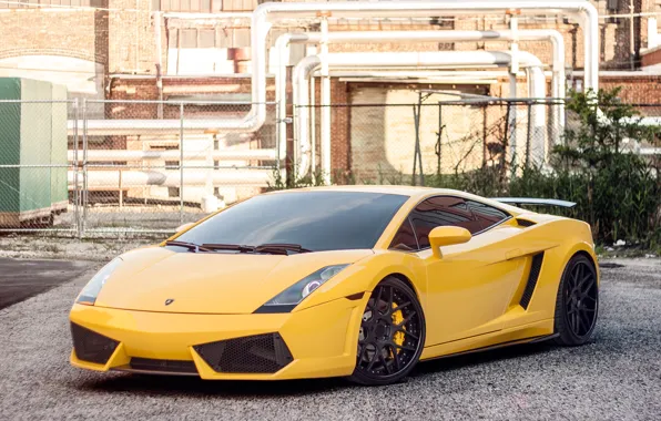 Picture Lamborghini, Gallardo, Lamborghini, yellow, Gallardo