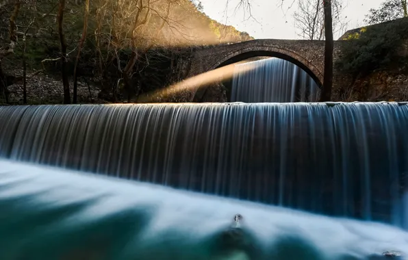Light, trees, branches, bridge, shore, waterfall, stream, arch
