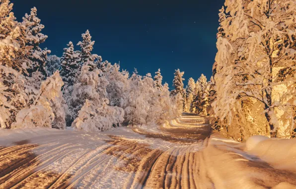 Sky, Stars, Wood, Winter, Night, Snow, Street, Ice