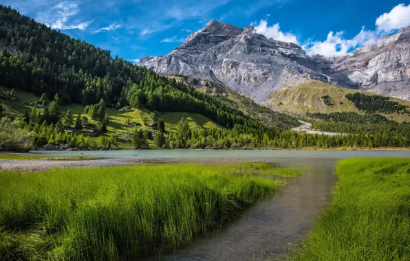Forest, the sky, mountains, nature, river