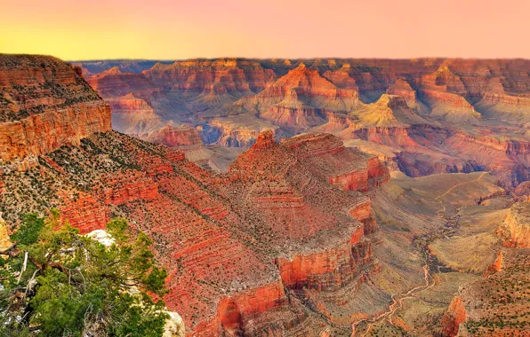 The sky, sunset, mountains, tree, canyon, AZ, USA, USA