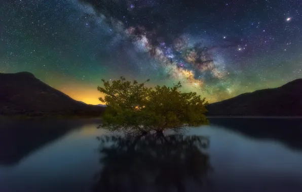 Picture the sky, stars, mountains, night, lake, tree, the milky way