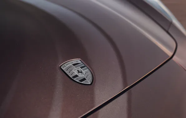 Porsche, Panamera, logo, badge, Porsche Panamera Turbo Special request