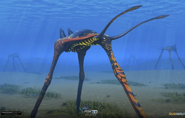 The bottom, being, Subnautica