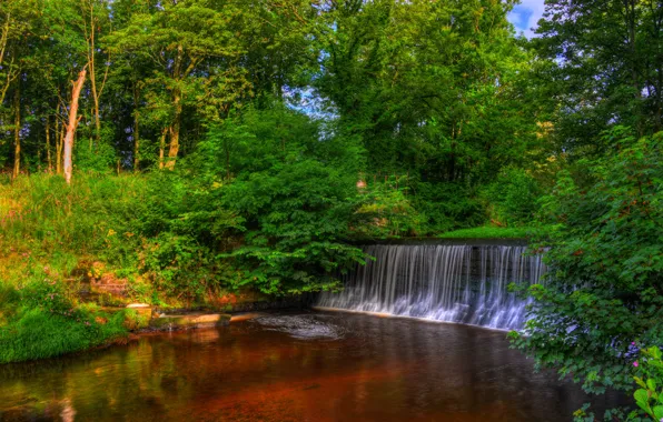 Trees, Park, England, waterfall, HDR, Yarrow Valley Country Park