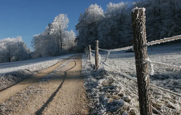 Picture winter, frost, road, snow, trees, nature