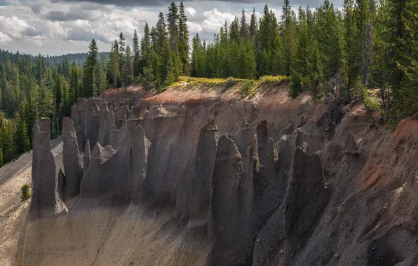 Forest, nature, open, rocks