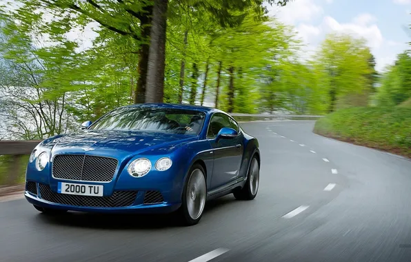 Road, car, auto, grass, trees, blue, color, Bentley