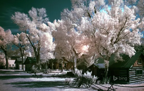 Frost, the sky, trees, house, street, USA, Montana, Bannack State Park