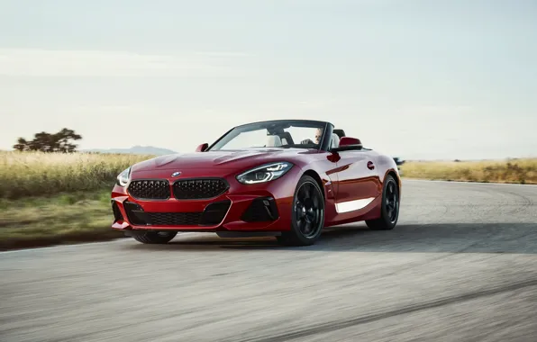 Picture asphalt, red, speed, BMW, Roadster, BMW Z4, First Edition, M40i