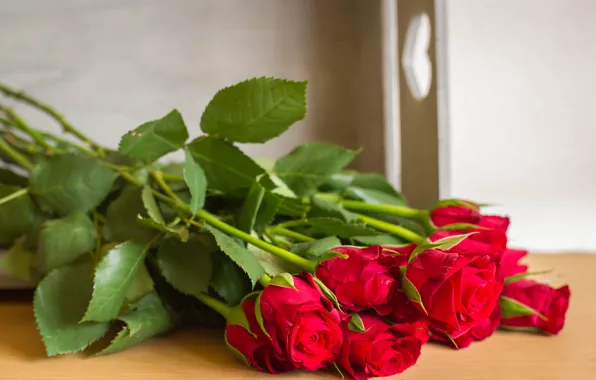 Roses, bouquet, buds