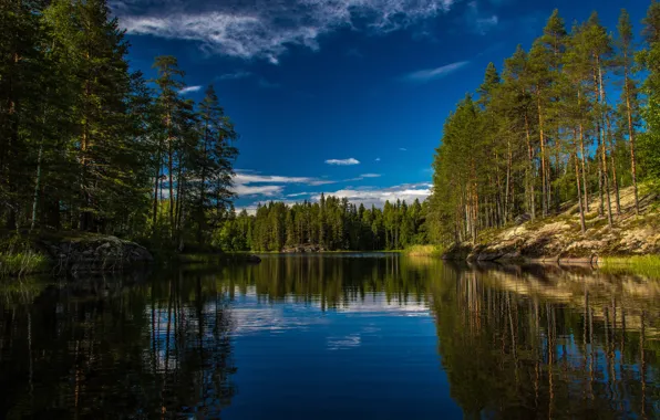 Picture forest, trees, lake, reflection, Finland