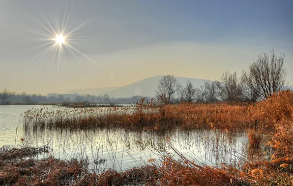 Picture forest, the sun, rays, mountains, lake, reed, late autumn