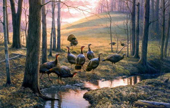 Picture autumn, forest, stream, hill, painting, autumn leaves, turkeys, Callin Em Out