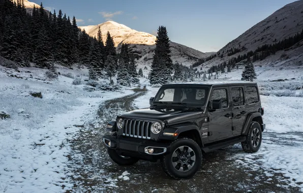 Snow, trees, mountains, 2018, Jeep, dark gray, Wrangler Sahara