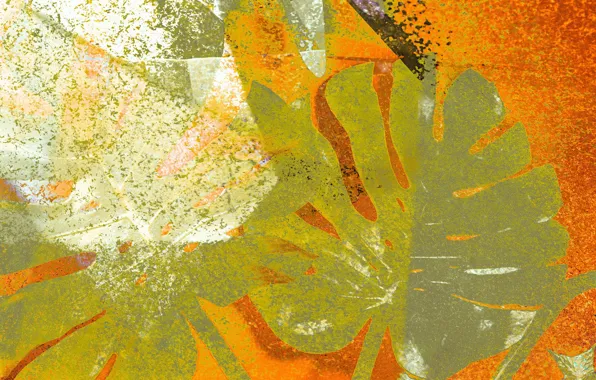 Picture leaves, background, color