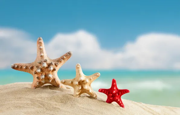Sand, sea, beach, summer, summer, beach, sea, sand