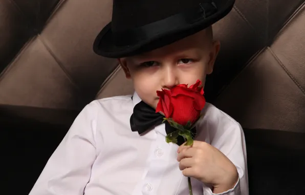 Picture white, flowers, black, hat, boy