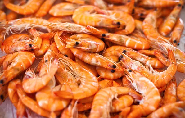 Picture wallpaper, food, shrimp, seafood, crustacean
